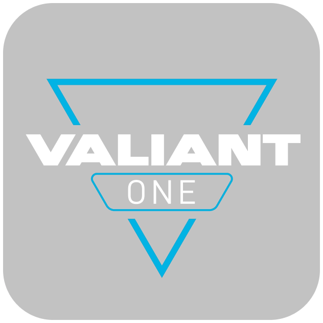 Valiant One